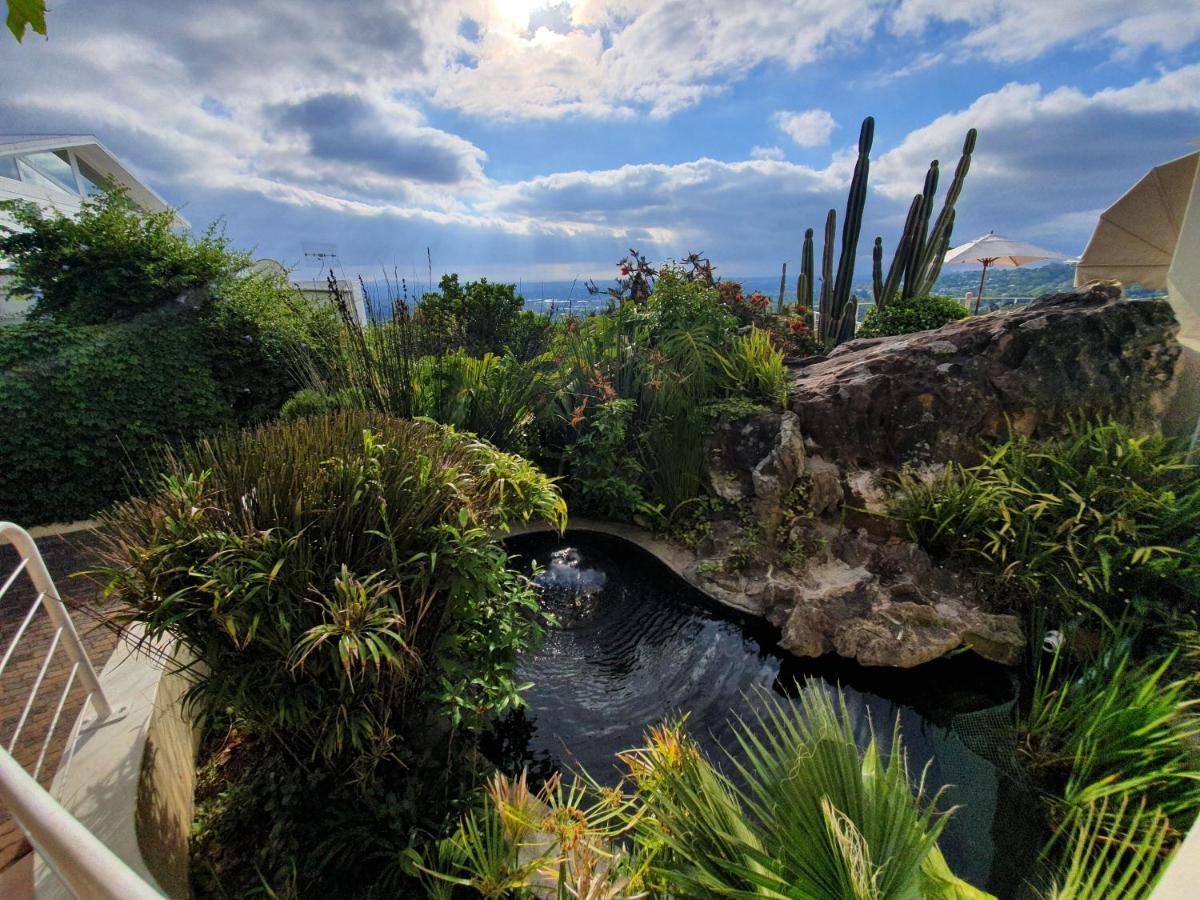 Panorama Guest House Cape Town Exterior photo