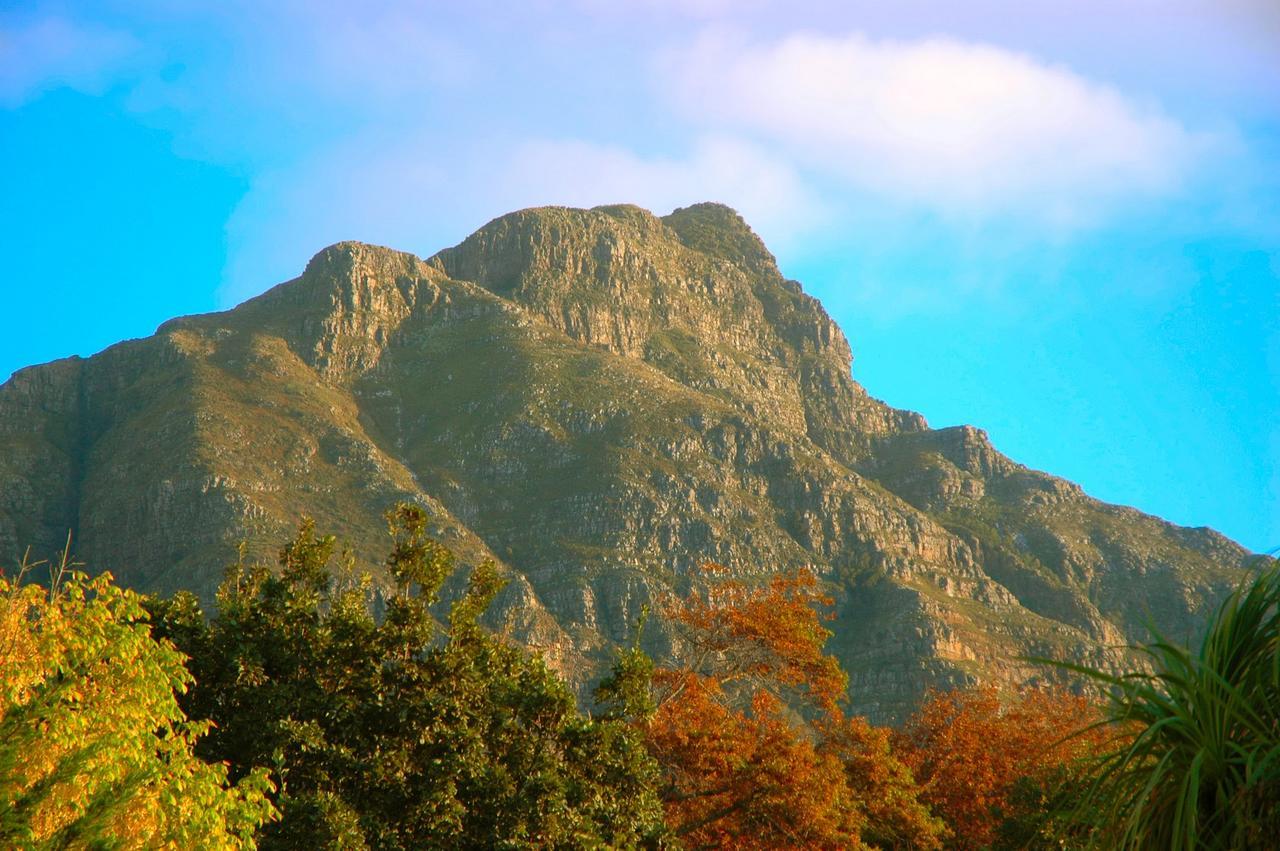 Panorama Guest House Cape Town Exterior photo